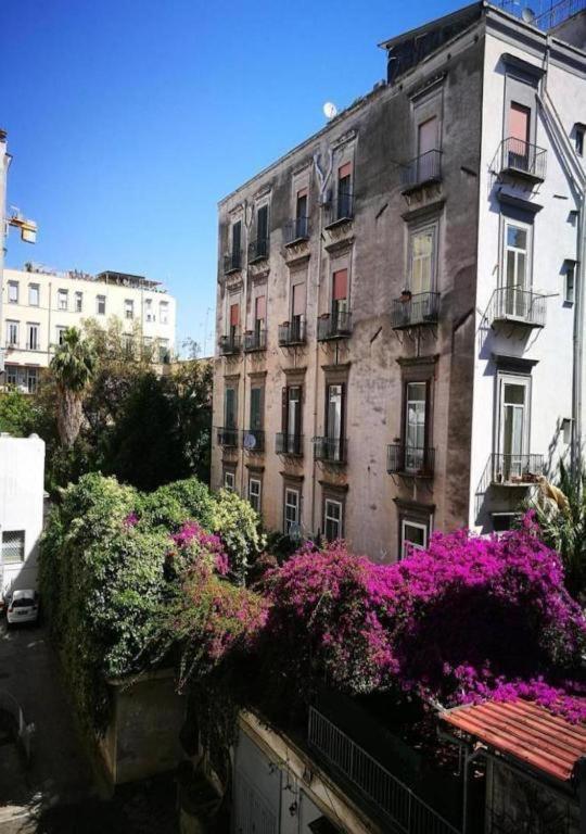 Domus Luigi Leone 2 Bed & Breakfast Napoli Bagian luar foto